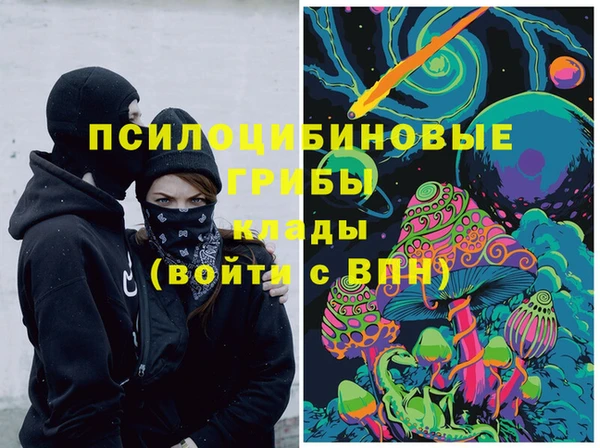 индика Балахна